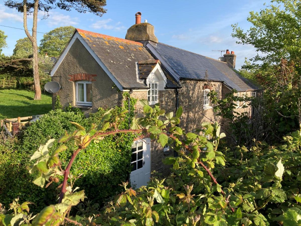 Yew Tree Cottage Dartmouth Dış mekan fotoğraf